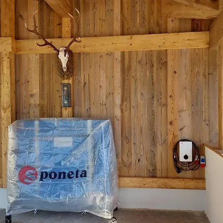 Chalet Panorama Berg